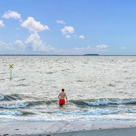 Amazing In Apartament