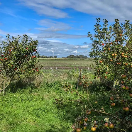 Apartament Amazing In *