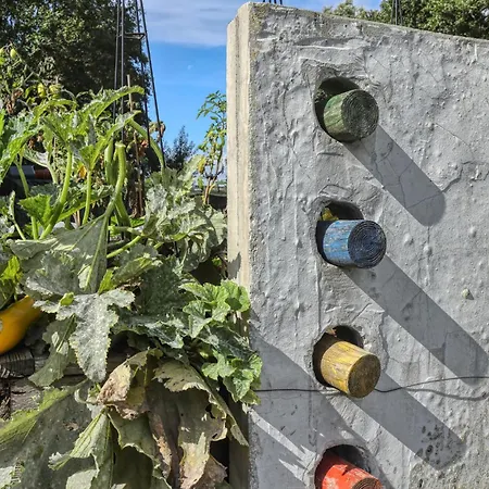 Amazing In Galmsbull