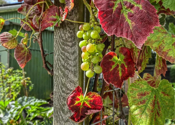 Appartamento Amazing In *